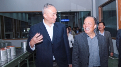 2010年11月，时任浙江省委常委、组织部长蔡奇到中国巨石视察。他对企业立足浙江、走向世界的做法给予肯定和鼓励，希望企业积极开展争当“发展强、党建强”先进企业活动，为企业科学发展注入动力，以党内创先带动企业创先，让企业创先争优形成长效机制。