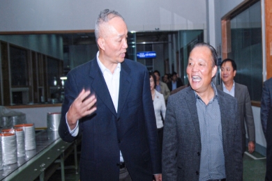 2010年11月，时任浙江省委常委、组织部长蔡奇到中国巨石视察。他对企业立足浙江、走向世界的做法给予肯定和鼓励，希望企业积极开展争当“发展强、党建强”先进企业活动，为企业科学发展注入动力，以党内创先带动企业创先，让企业创先争优形成长效机制。